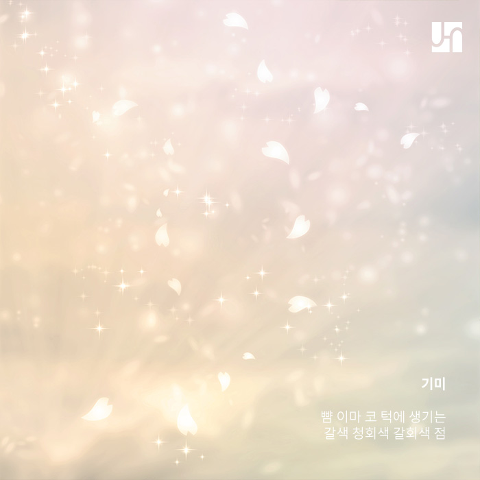 [서초역 피부과] 색소침착의 종류와 예방법 관련 이미지 3