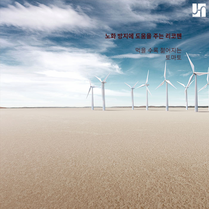 가을철 피부 건강에 좋은 음식 관련 이미지 4