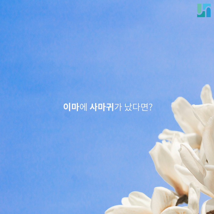 서초역 피부과, 이마에 사마귀가 났다면? 관련 이미지 1
