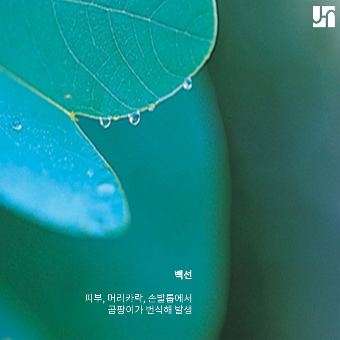 무더운 여름철, 더욱 주의해야 하는 피부 질환에 대해서 관련 이미지 3