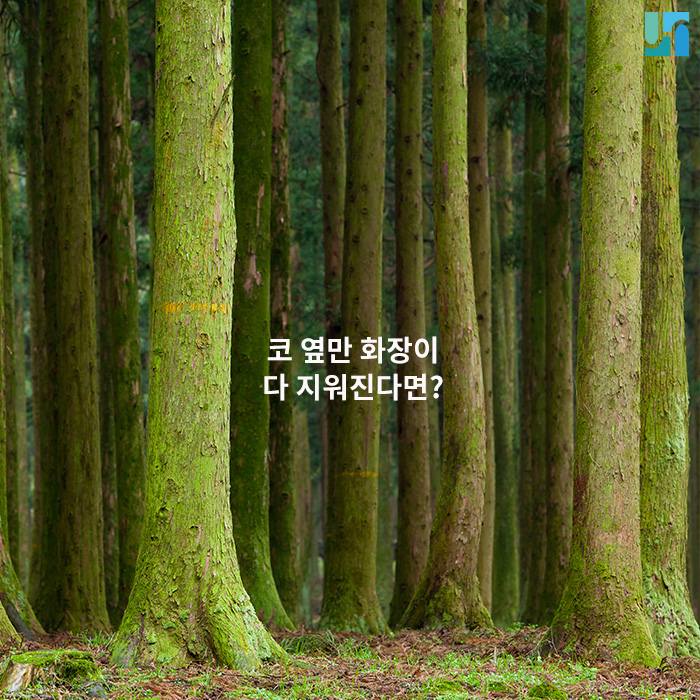 코 옆만 화장이 다 지워진다면? 관련 이미지 1