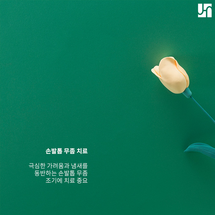 손발톱 무좀 발생 원인 알고 똑똑하게 치료하기! 관련 이미지 2