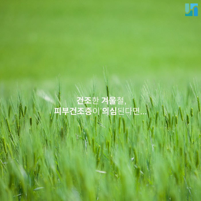 천연 보습 성분 감소로 생기는 피부 건조증, 예방하기 위해선 관련 이미지 1