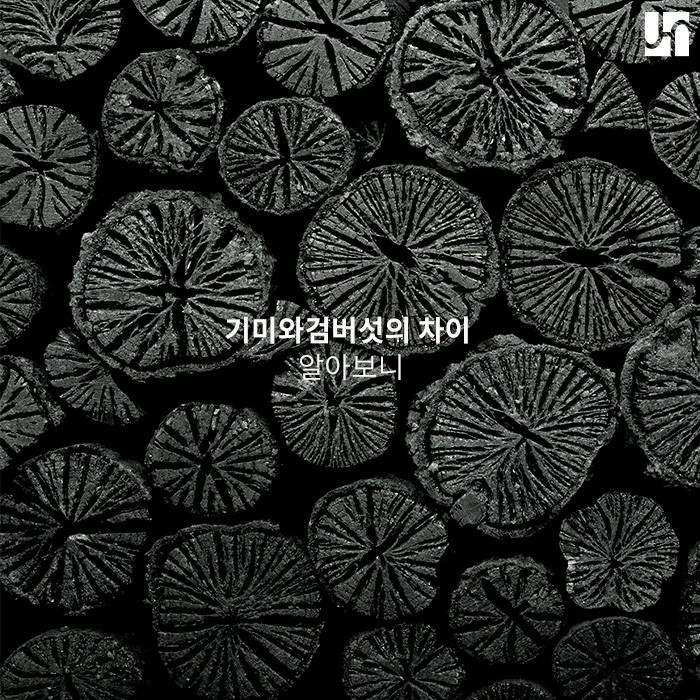 기미와 다른 검버섯, 예방과 치료를 위해 알아야 하는 것 관련 이미지 1