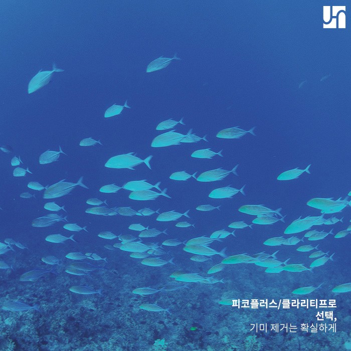 기미레이저후기도 찾아볼 만큼 기미치료가 필요하다면 관련 이미지 3