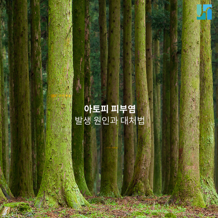 아토피 피부염 발생 원인과 대처법은? 관련 이미지 1