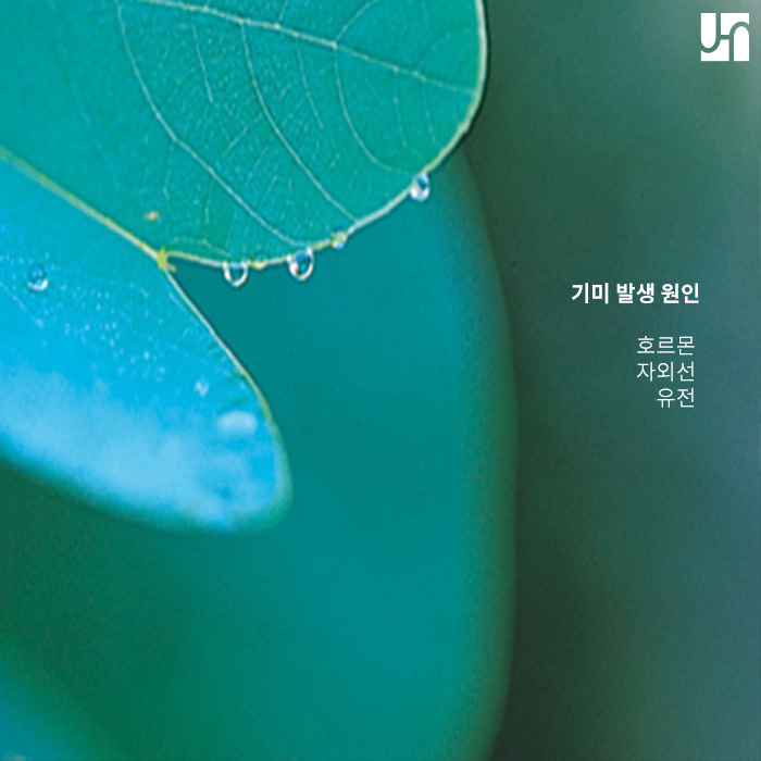 기미로 얼룩덜룩한 피부 톤이 고민이라면 관련 이미지 2