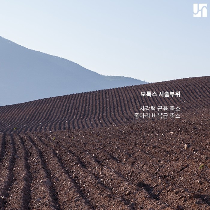 보톡스 시술 목적 제대로 알고 오남용하지 마세요! 관련 이미지 2