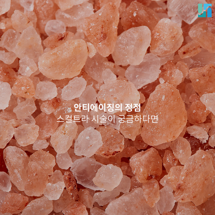 안티에이징의 정점 스컬트라 시술이 궁금하다면 관련 이미지 1