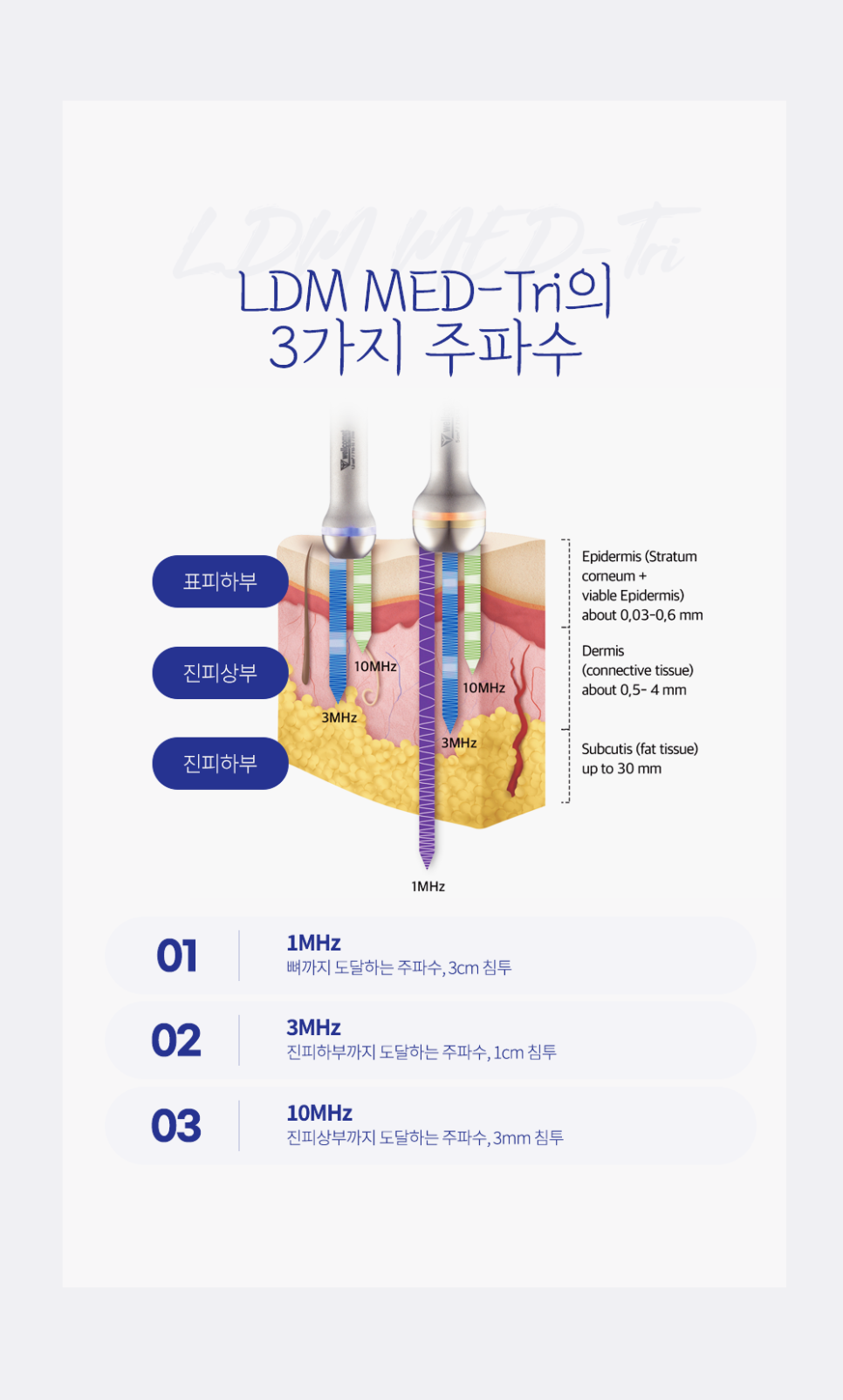 서초역 피부과 피부 재생 관리, 칙칙하고 푸석한 피부 속부터 되살리는 방법 관련 이미지 5