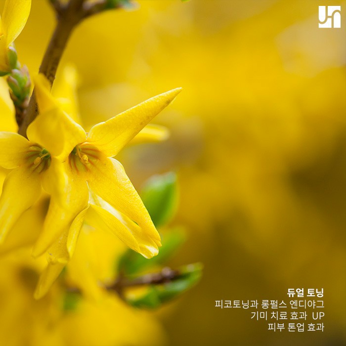 '피코 토닝'과 '롱펄스 엔디야그' 효과에 대해서 관련 이미지 4