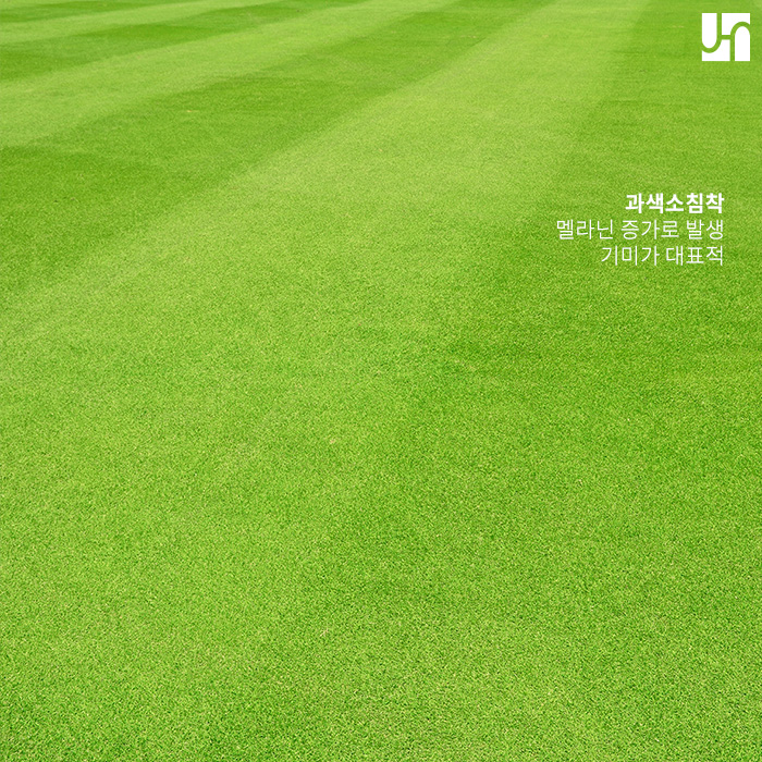 방배역피부과, 다양한 색소질환과 치료방법 관련 이미지 2