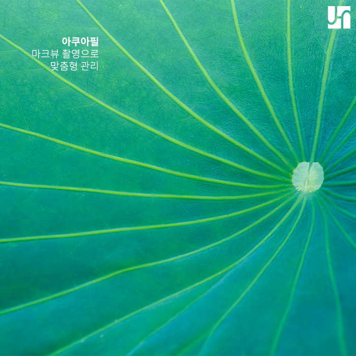 각질 제거하는 필링, 언제 어떻게 해야 할까요? 관련 이미지 4