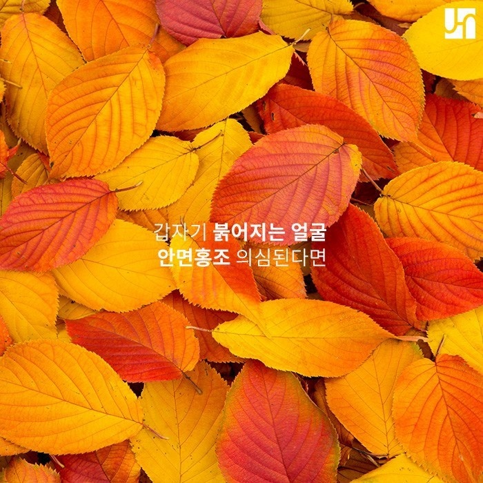 얼굴이 너무 붉어지는 안면홍조, 레이저 및 복합 치료가 필요해요 관련 이미지 1