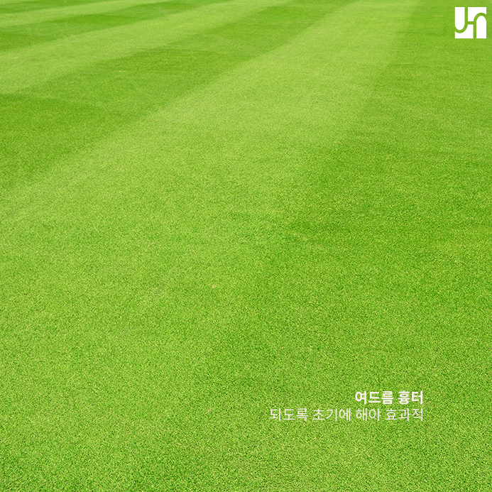 여드름 흉터 치료하고 보송보송해지고 싶다면 관련 이미지 2