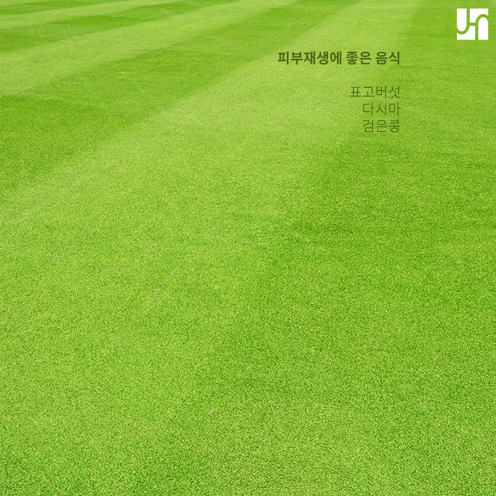 면역력 높이는 음식과 피부 재생에 좋은 음식 먹고 코로나19 이겨내자 :: 방배역전혜주피부과 관련 이미지 2