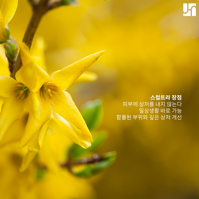 피부 볼륨 원한다면 후회 없는 선택 스컬트라 관련 이미지 3