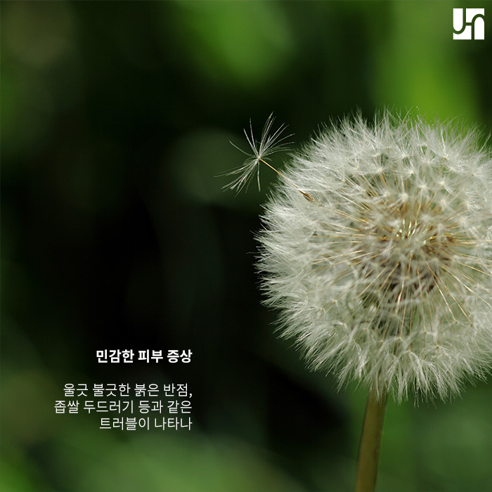 방배역 피부과, 피부 뒤집어졌을 때 피부과 가야 할까? 관련 이미지 3