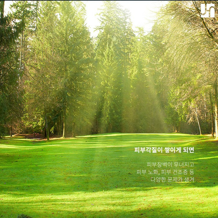 얼굴 각질 관리에 도움이 되는 아쿠아필 관련 이미지 2