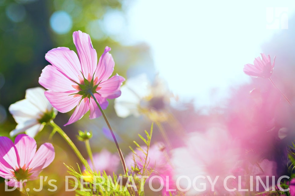 늘어진 모공 관리, 사당 피부과 추천 있는 곳으로 맞춤 케어 받아야 관련 이미지 3