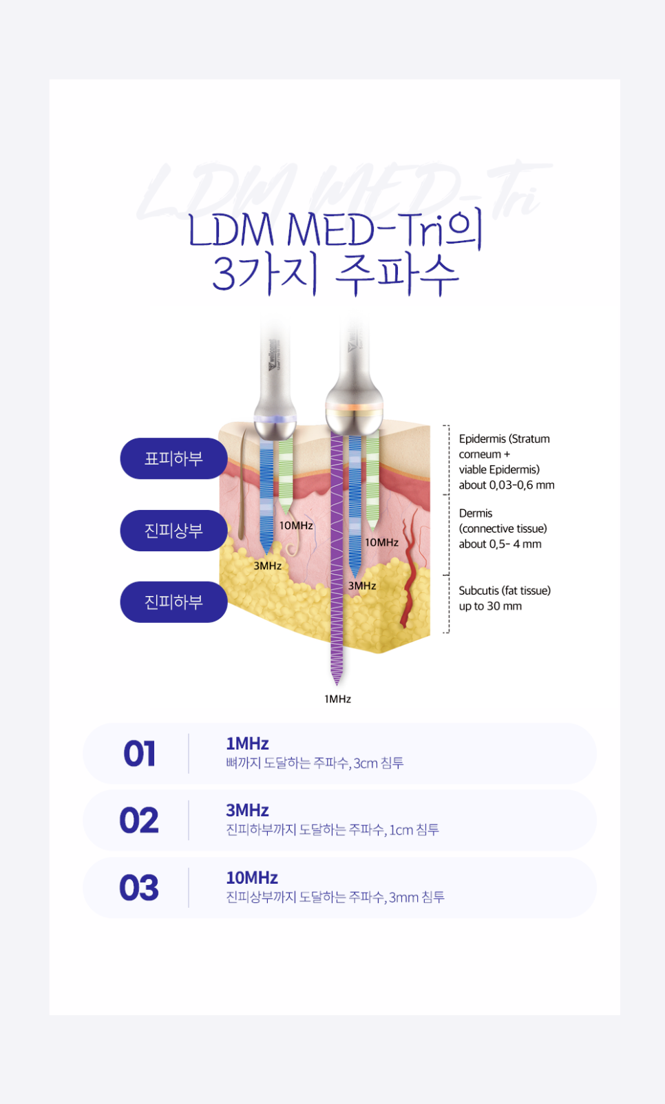 Sadang Station Dermatology Clinic: Causes and Symptoms of Seborrheic Dermatitis—It’s Different from Simple Dry Skin image 4