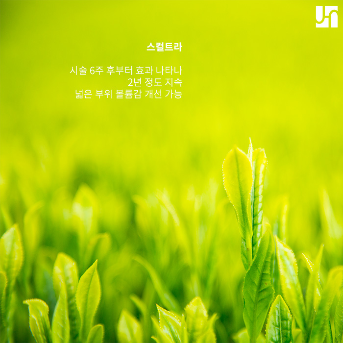 피부 탄력이 예전 같지 않다면 지금이 바로  스컬트라가 필요할 때 관련 이미지 3