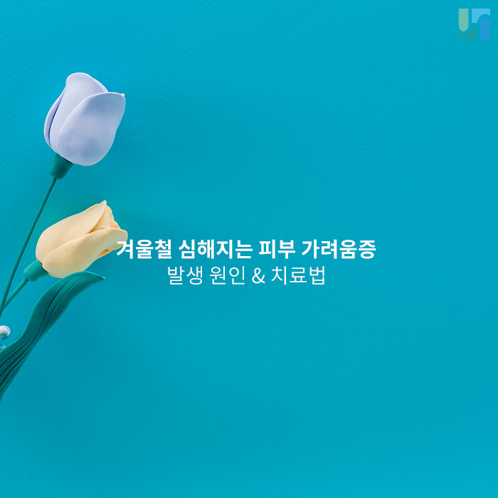 겨울철 심해지는 피부 가려움증 발생 원인과 치료법 관련 이미지 1