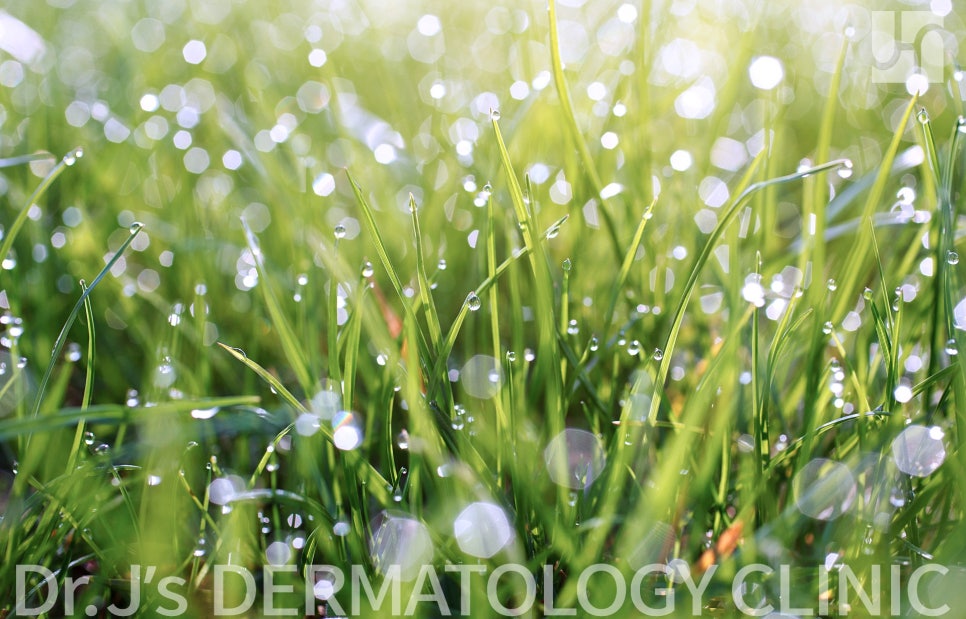 아토피 피부염 성인이어도 증상 안심할 수는 없어 관련 이미지 5