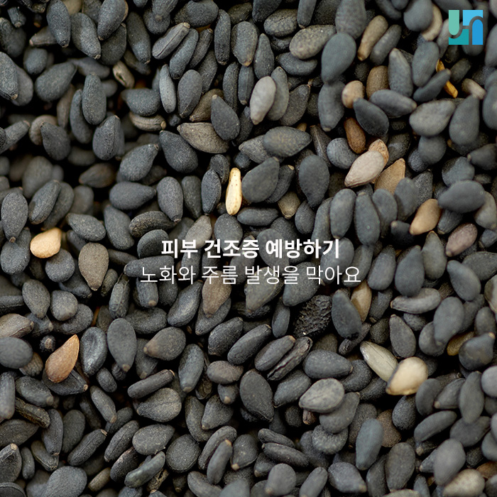 피부 건조증은 주름과 노화의 지름길, 꼭 예방하세요 관련 이미지 1