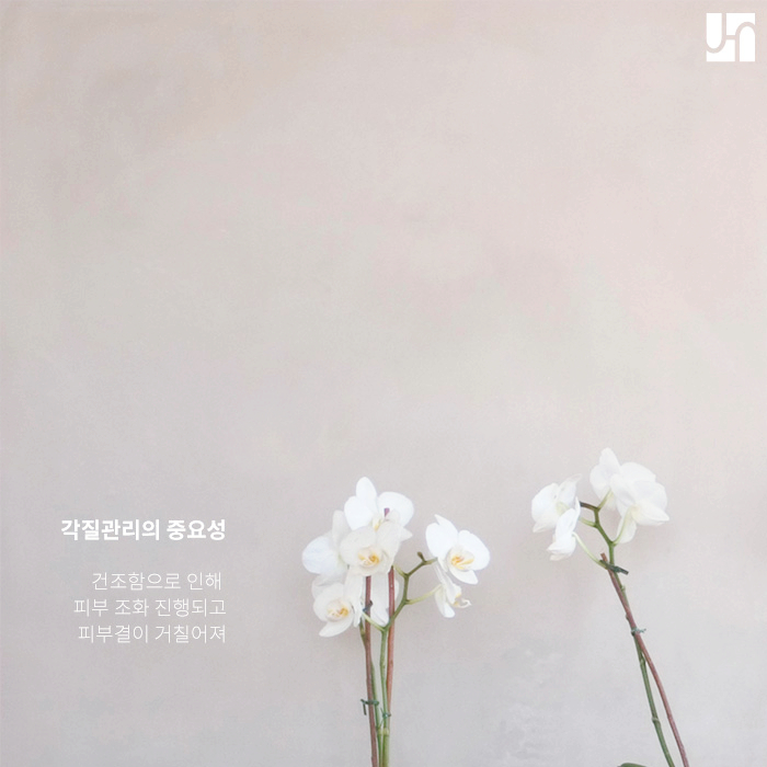 얼굴 피부 각질의 기능과 각질 제거가 필요한 경우 관련 이미지 3