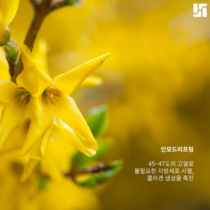 인모드리프팅 부작용이 걱정되신다면 관련 이미지 3