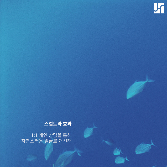 스컬트라로 콜라겐 충전하고 동안쟁이 되어보세요! 관련 이미지 4