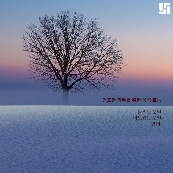 가을철 피부 건강에 좋은 음식 관련 이미지 2