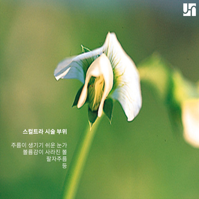 안전하고 효과적으로 볼륨감 채우는 스컬트라에 대해서 관련 이미지 3