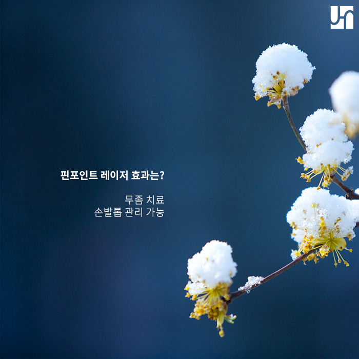 손발톱 무좀, 레이저 치료로 해결해봐요! 관련 이미지 3