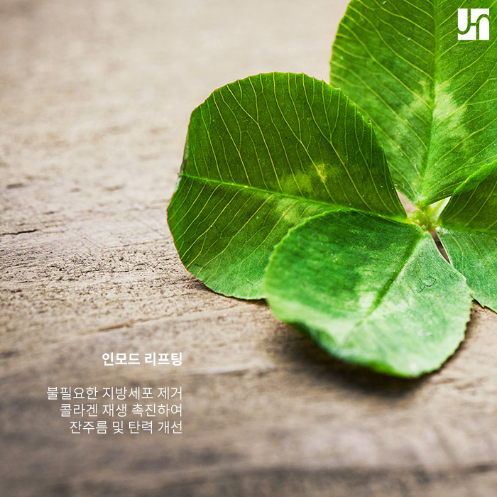 인모드 리프팅으로 탄력있는 브이라인 만들기 관련 이미지 2