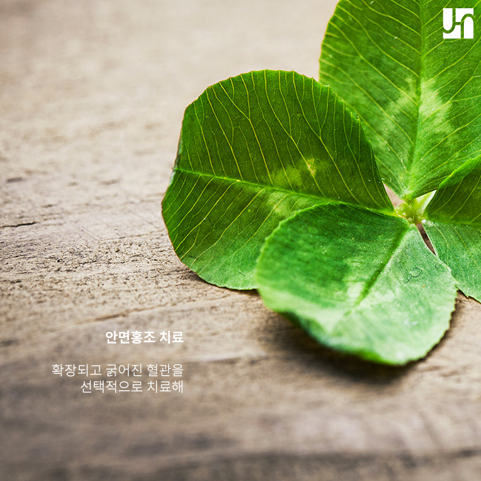 서초역 피부과, 안면홍조 재발이 의심스럽다면... 관련 이미지 4