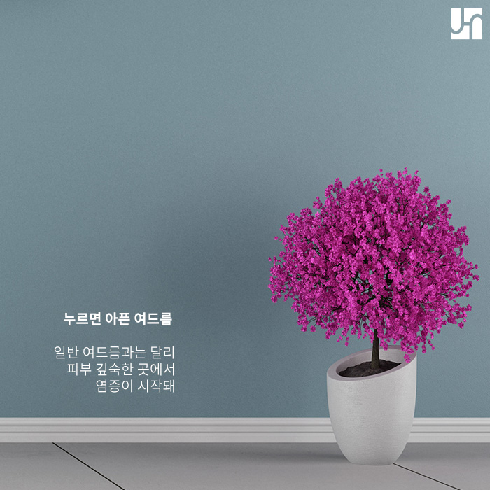 서초역 피부과, 누르면 아픈 여드름 치료에 대해 관련 이미지 3