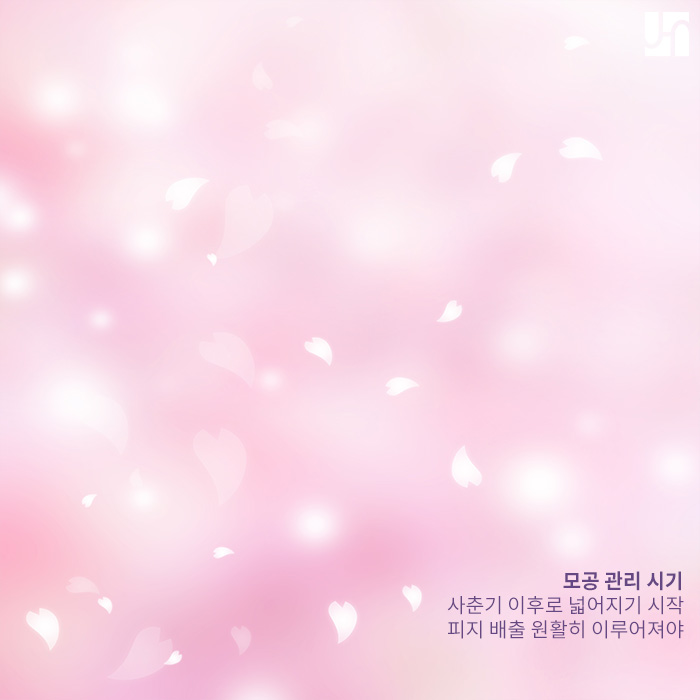 모공 관리에 도움을 주는 레이저 시술, 뭐가 있나요? 관련 이미지 3