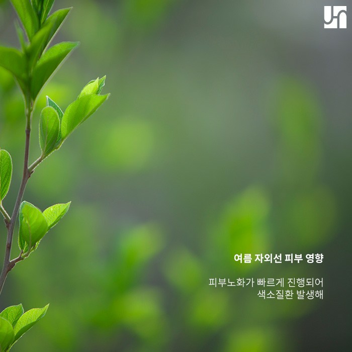 여름 자외선 색소 질환을 유발할 수 있어 주의해야! 관련 이미지 4