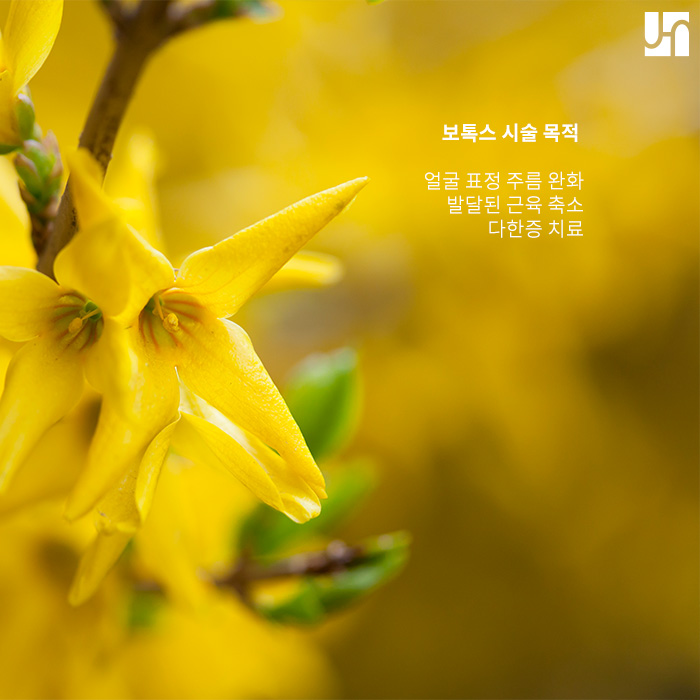 미용 시술 보톡스, 제대로 알고 맞아야 효과 만점! 관련 이미지 2