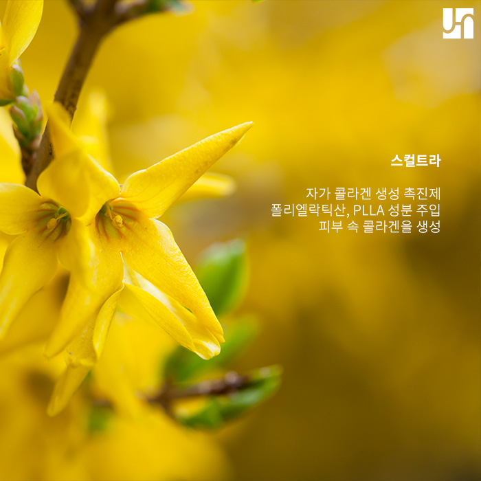 피부 탄력이 예전 같지 않다면 지금이 바로  스컬트라가 필요할 때 관련 이미지 2