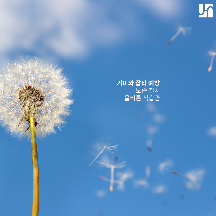 [서초동피부과] 임신으로 인한 기미 관리하는 방법 관련 이미지 3