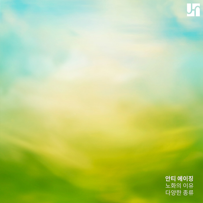 서초구 피부과 안티에이징 프로그램 관련 이미지 2