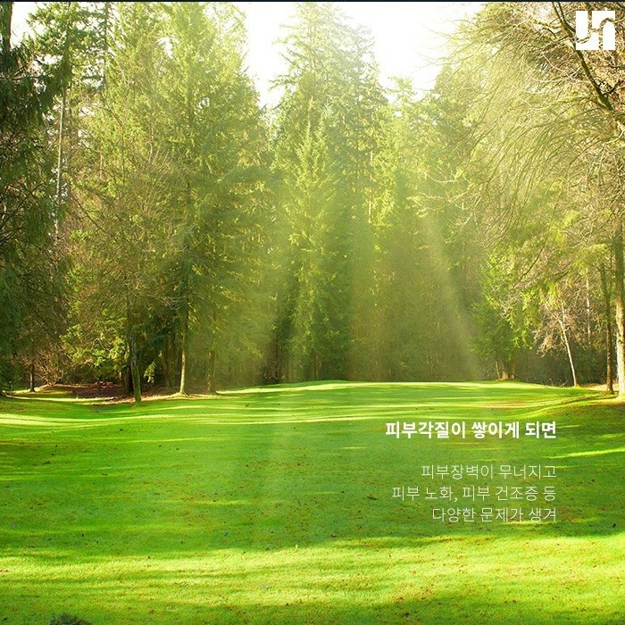 골치 아픈 블랙헤드 효과적으로 관리하는 방법 관련 이미지 4