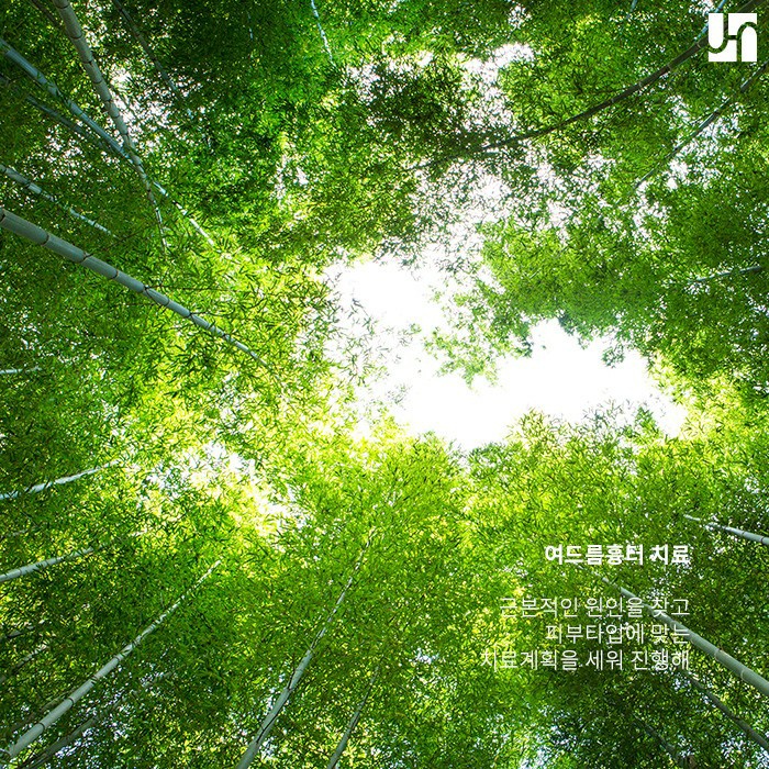 여드름 흉터로 남지 않도록 관리하는 방법 관련 이미지 4