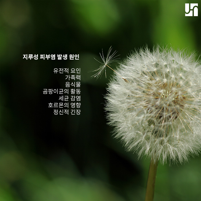 붉고 간지러운 여드름? 지루성 피부염일 수 있어요! 관련 이미지 3