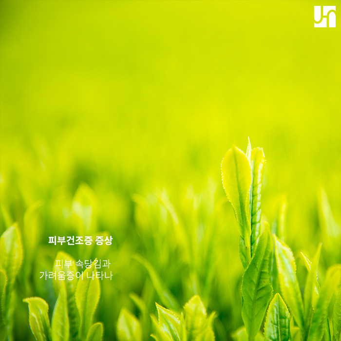 건조한 겨울철, 피부건조증이 의심된다면... 관련 이미지 3
