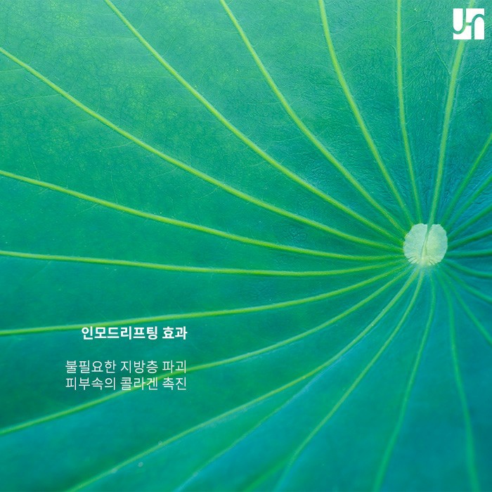 인모드 리프팅, 어떤 사람에게 효과가 좋은가요? 관련 이미지 3