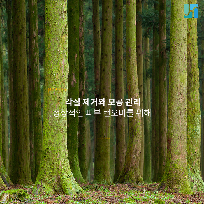 피부를 새롭게 바꿔주는 턴오버를 위해 할 수 있는 일! 관련 이미지 1